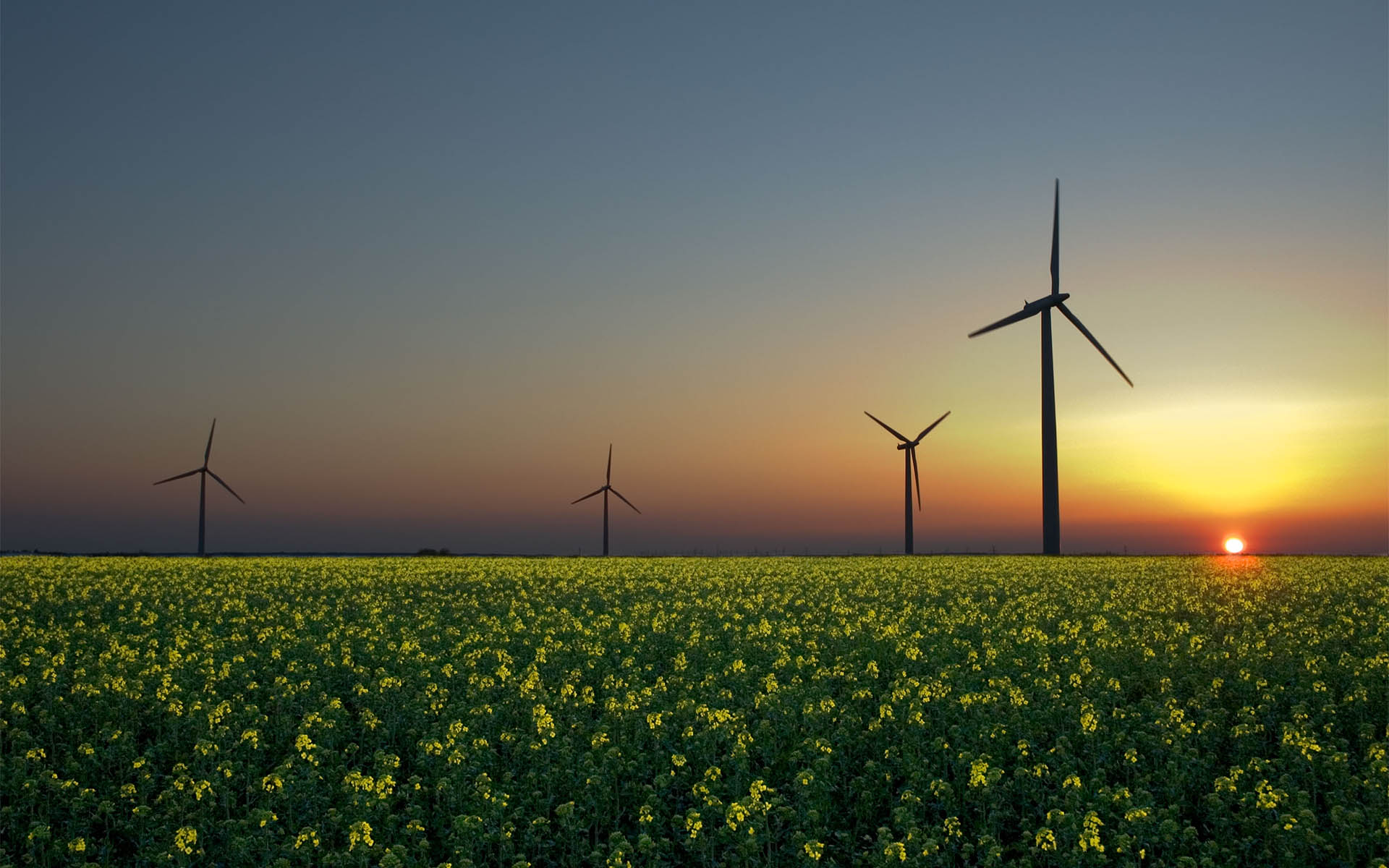 reduction-des-taxes-pour-les-nouvelles-entreprises-dans-lagriculture-et-les-energies-renouvelables