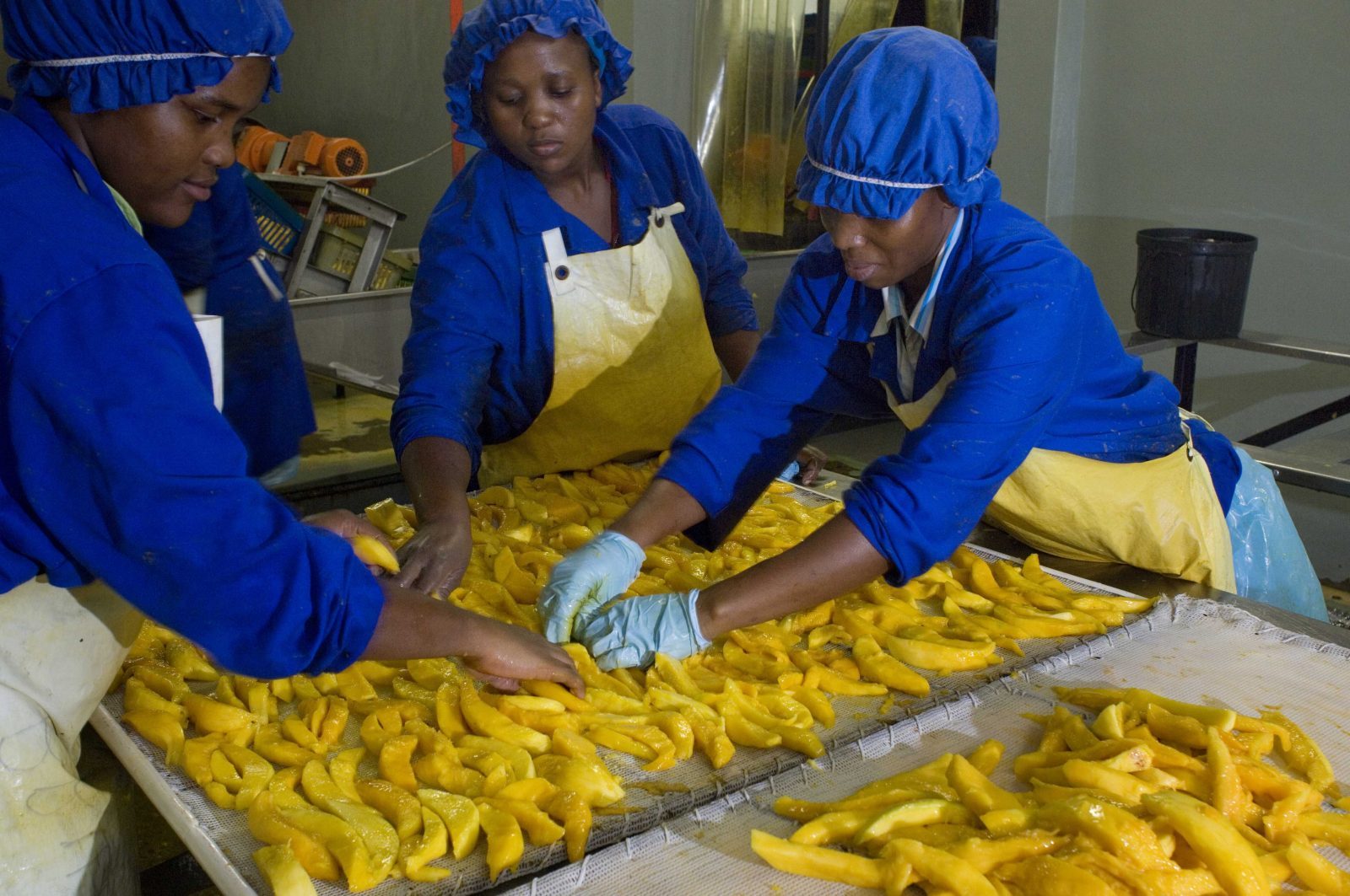 abattement-fiscal-pour-les-entreprises-tchadiennes-dans-le-secteur-de-lagro-industrie